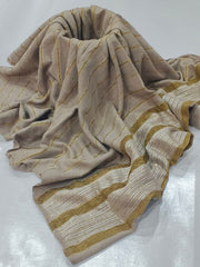 Banarsi Shawl With Velvet and Sequence Work