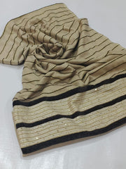 Banarsi Shawl With Velvet and Sequence Work