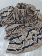 Banarsi Shawl With Velvet and Sequence Work