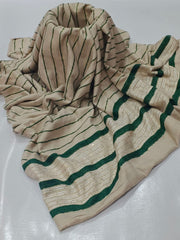 Banarsi Shawl With Velvet and Sequence Work